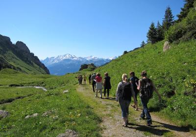 Randonnée en alpage - Randonnée en alpage