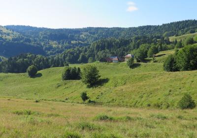 Alpage de la Cluse - Alpage de la Cluse Alpage de la Cluse - Alpage de la Cluse
