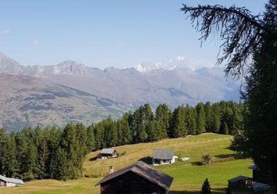 Plagne-Tarentaise (Montchavin-Les Coches ) - Plateau de Plan-Bois