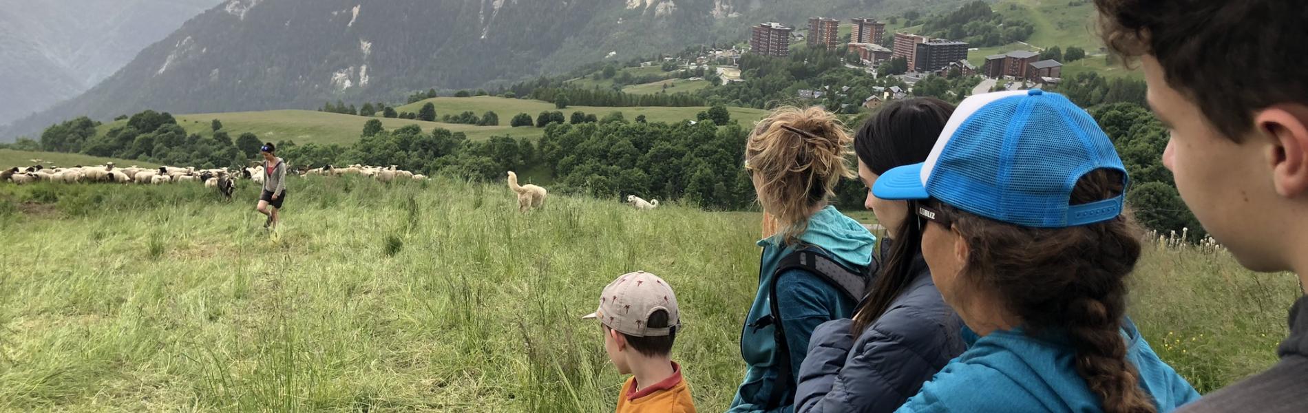 Rencontre avec une bergère au Corbier © MCT - www.fondation-facim.fr