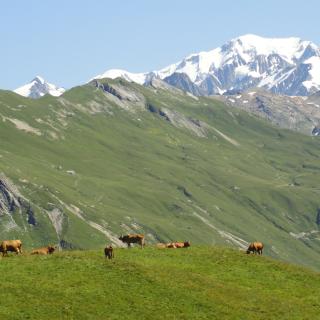 Beaufortain - Roselend avec un sommet enneigé en arrière-plan